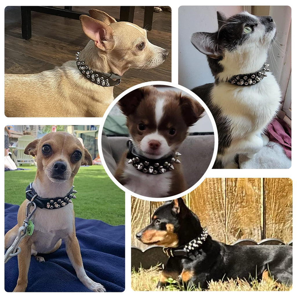 Small Spiked Black Dog Cat Collar For Small Medium Dogs Boy Male - Adjustable Studded Puppy Collars - Soft Padded Punk Leather Dog Collar For