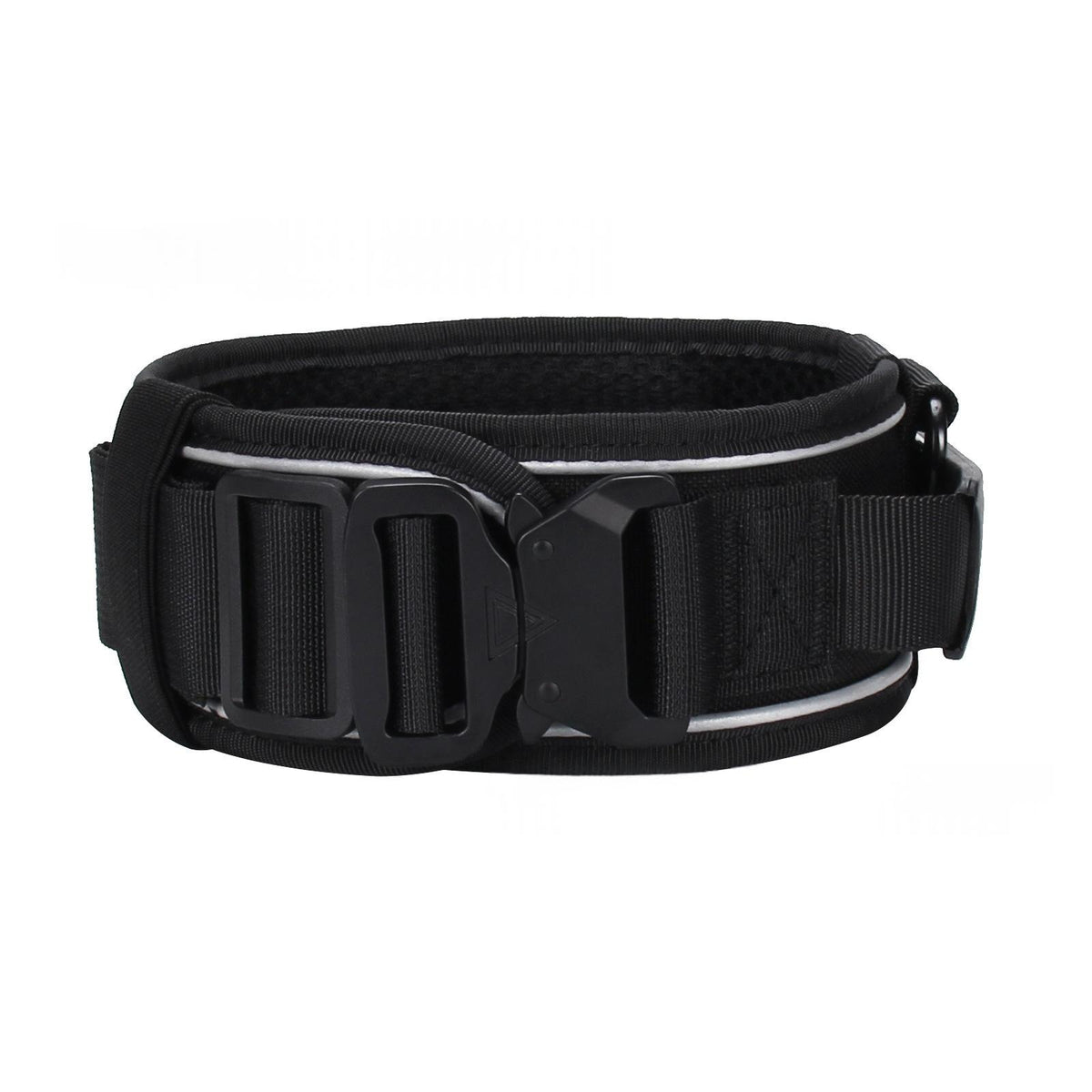 Reflective Nylon Dog Collar And Outdoor Pet Leash