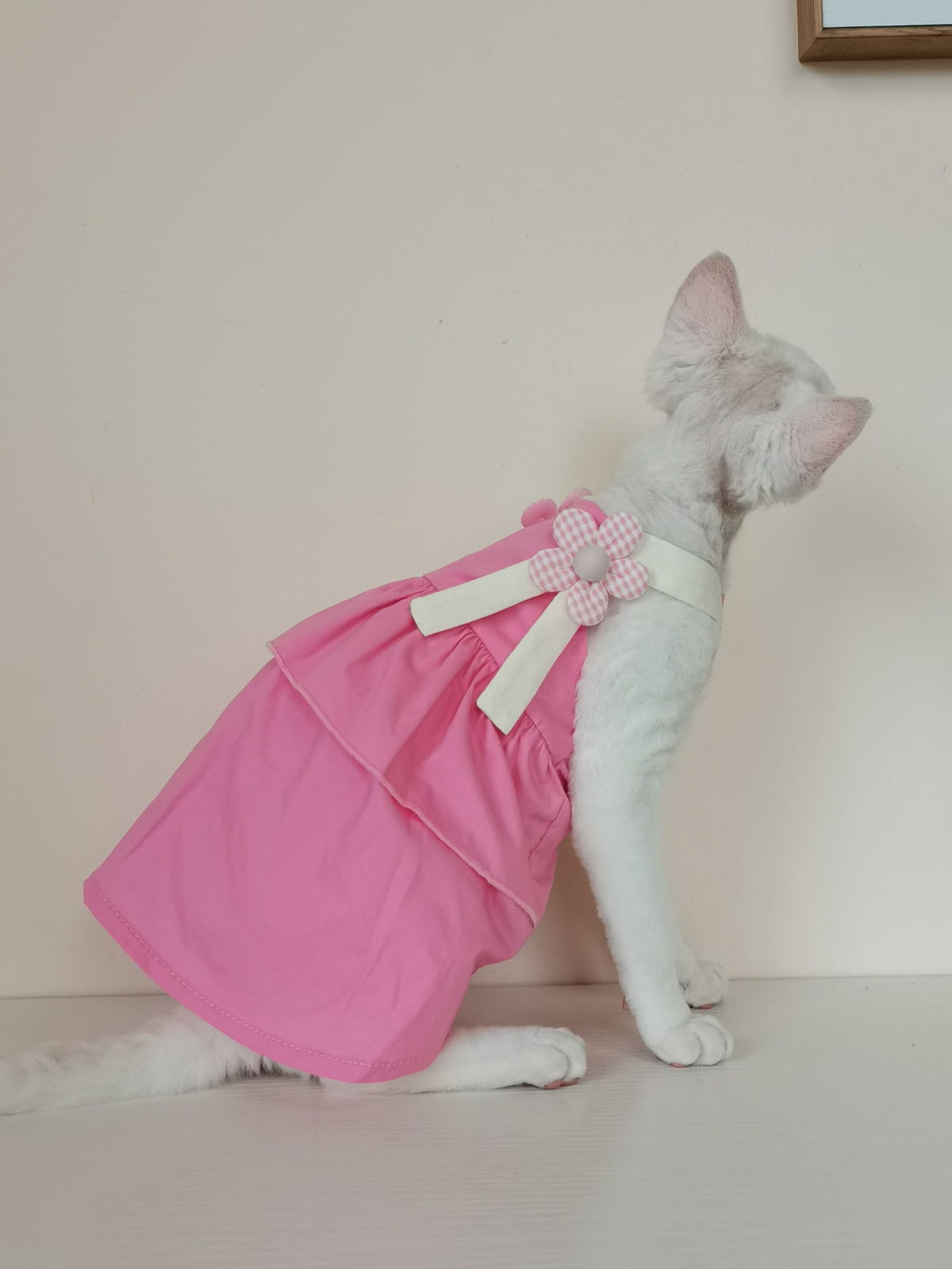 Sphynx Cat Cotton Summer Dress with Floral Accent Straps