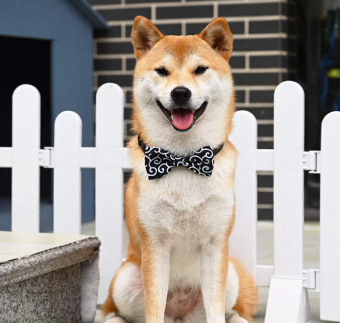 Kazu Style Handmade Japanese Pet Cat