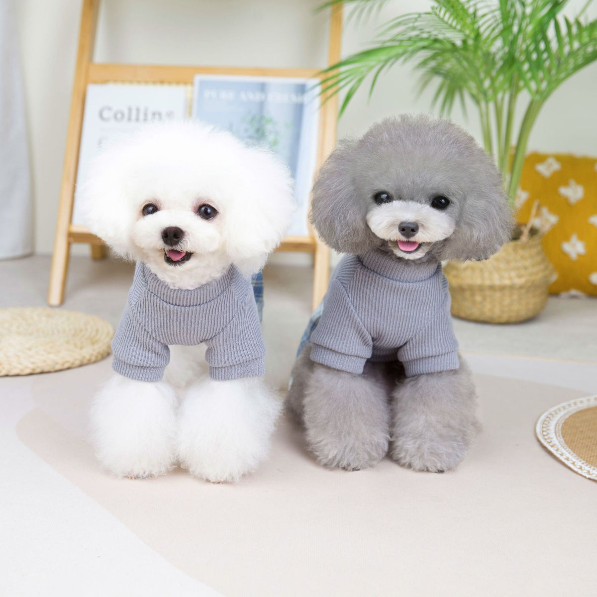Wool Fabric Leisure Warm Sweatshirt Skirt Pants Suit Dog Clothes