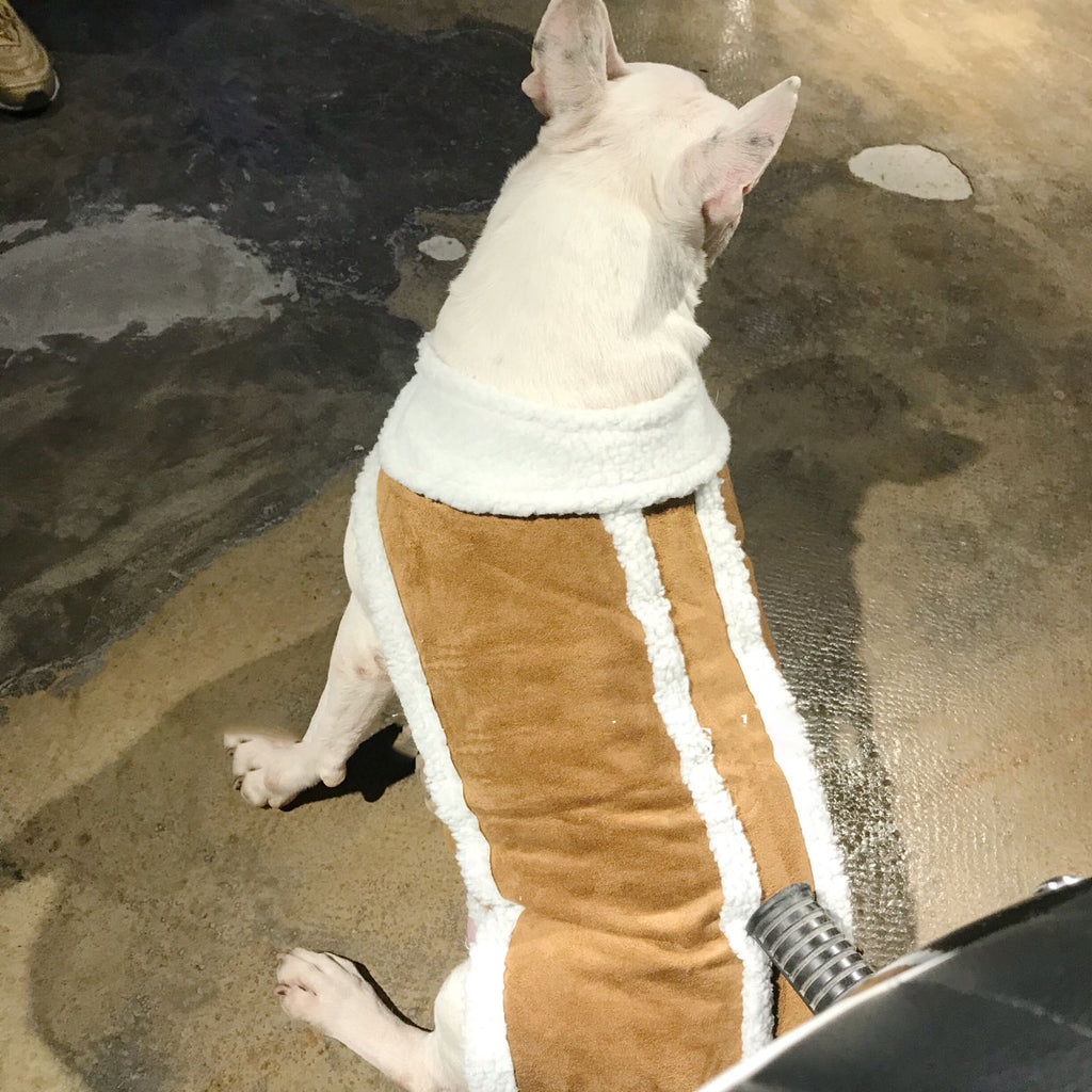 Fashionable And Simple Pet Autumn And Winter Anti-fur Fur Vest