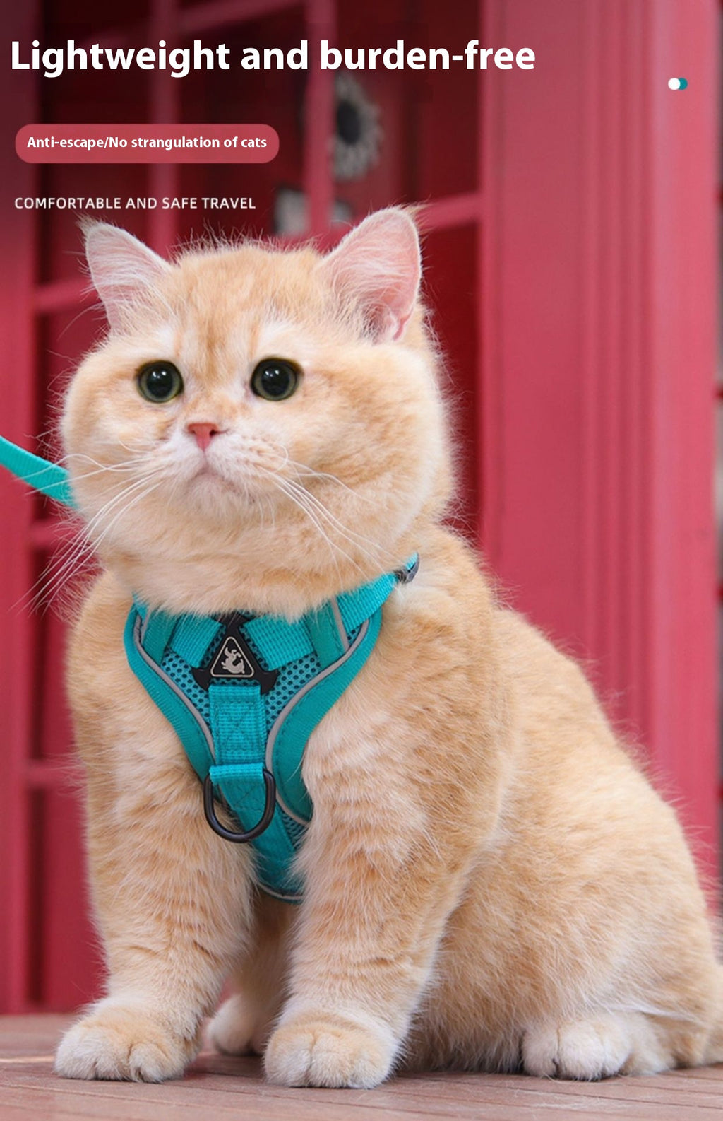 Dog Hand Holding Rope Pet Vest Chest Strap Mesh Breathable Cat Anti-lost Collar