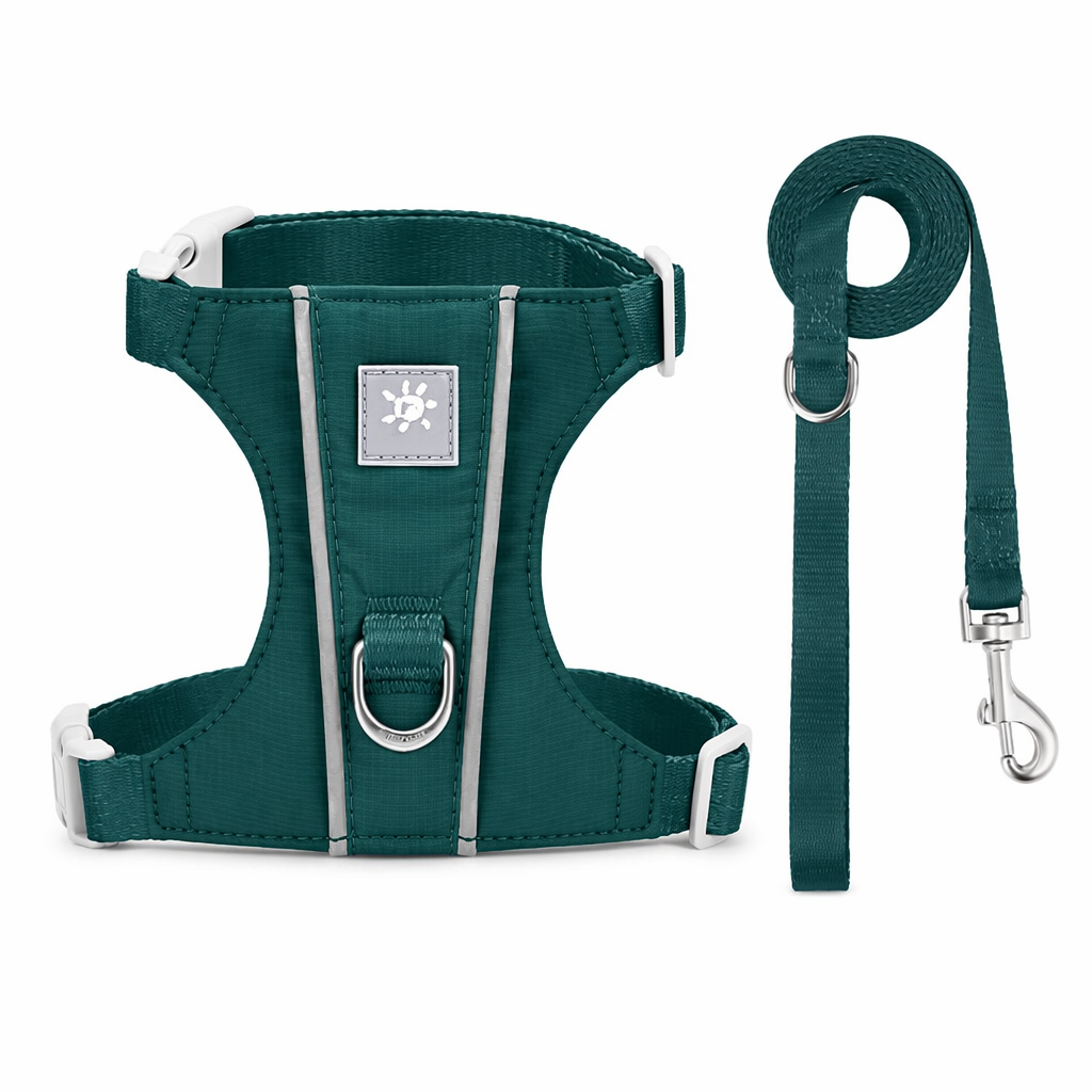 Cat Harness And Leash Set With Reflective Strips, Escape Proof Adjustable Vest, Premium Taffeta Fabric Soft Lightweight, Tear Resistant, For Kitten