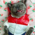 Three-color Pet Autumn And Winter Clothes Schnauzer Teddy French Fighting Cow Dog Cotton-padded Waistcoat Vest