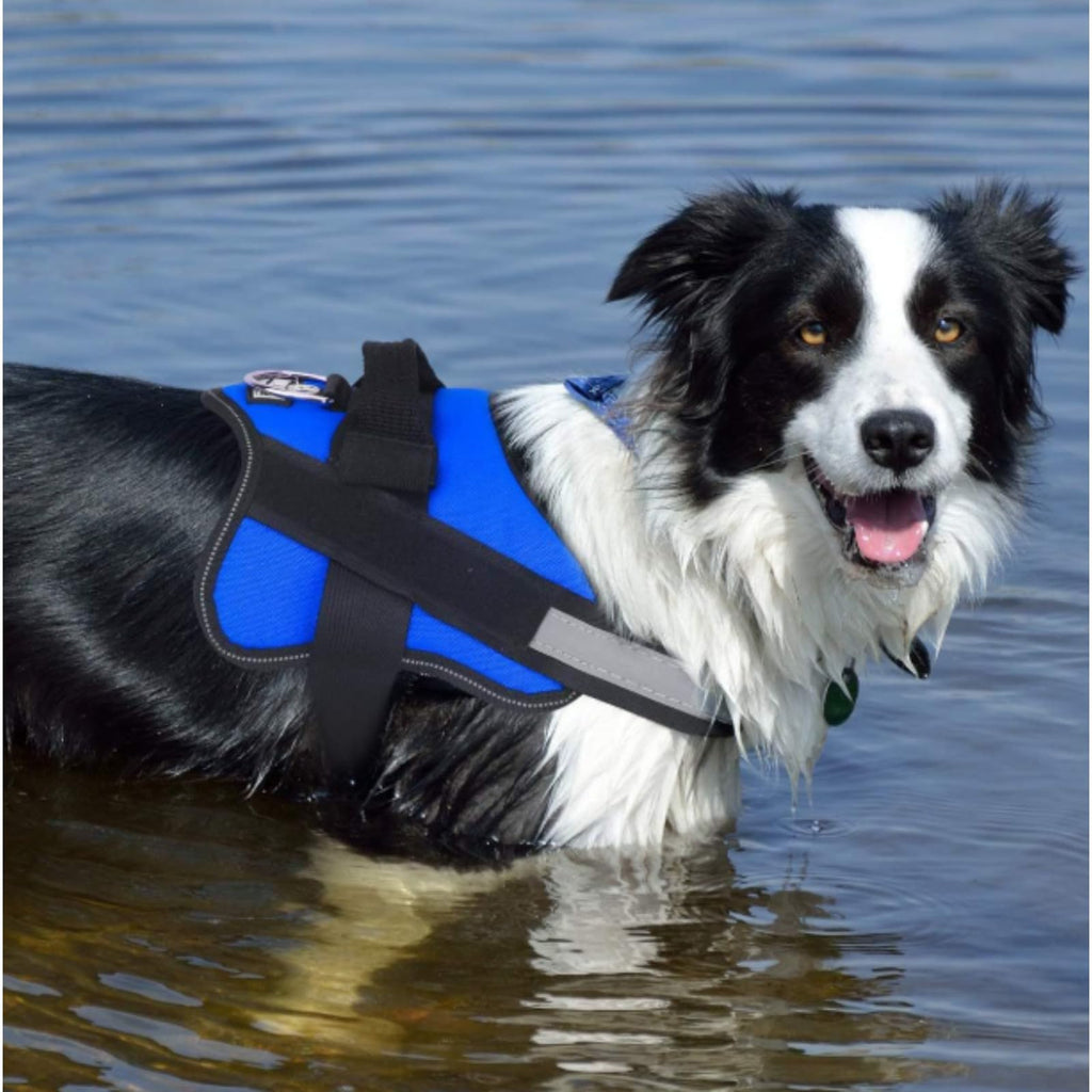 Dogshood Harness, Dogshood No Pull Harness, Breathable Reflective Vest With Handle, No MoreTugging Or Choking