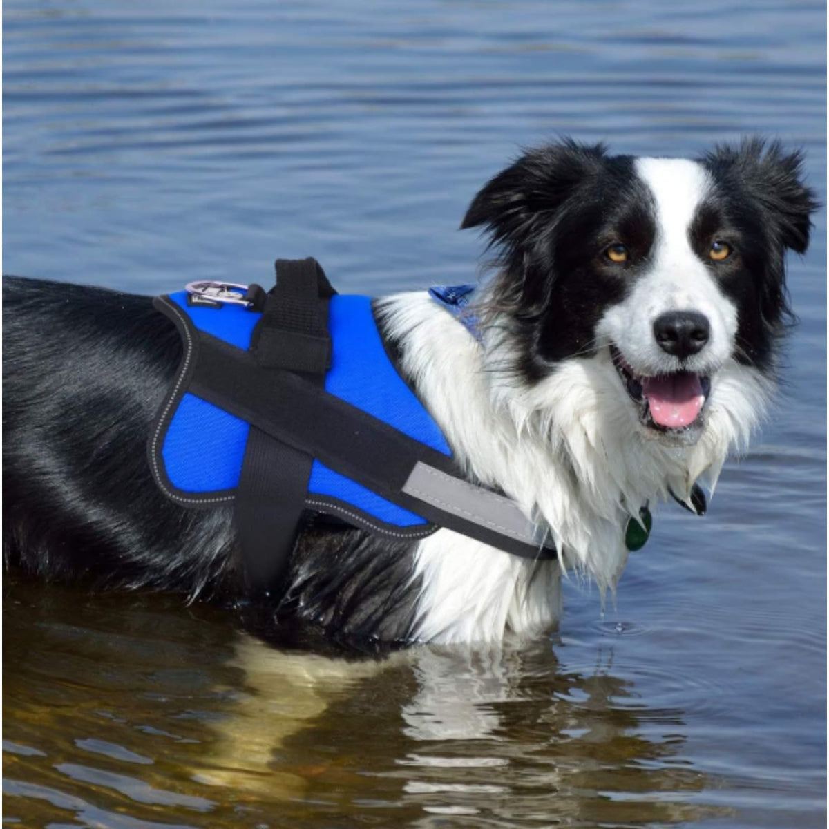 Dogshood Harness, Dogshood No Pull Harness, Breathable Reflective Vest With Handle, No MoreTugging Or Choking