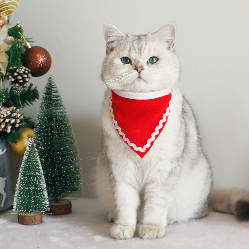 Dog Scarf Cat Hat Bib Jewelry Winter