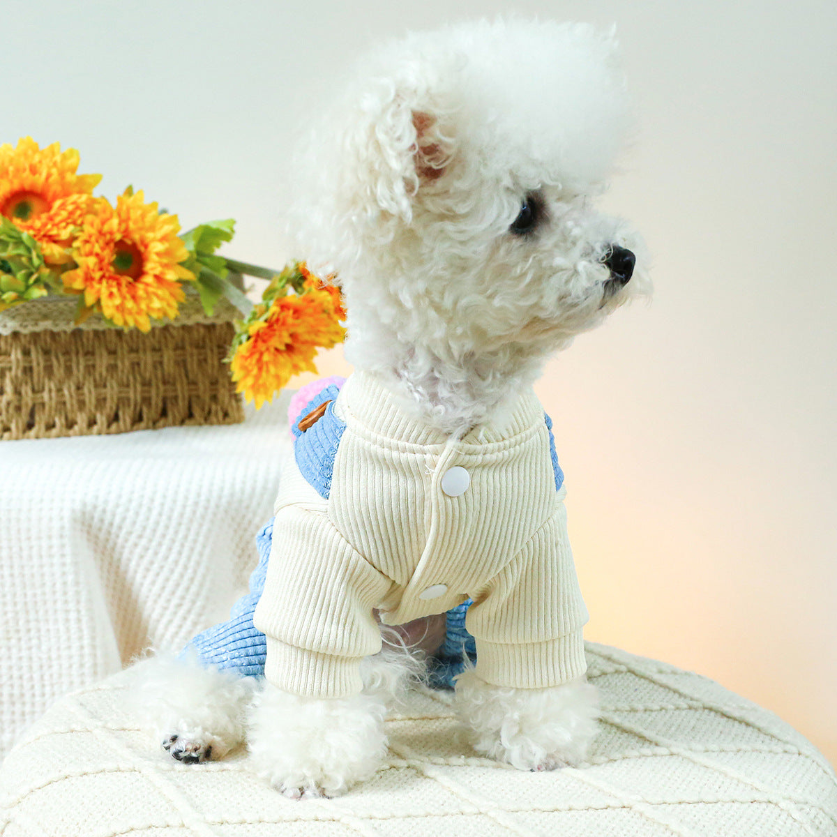Pet Clothes Dog Cat Clothing Clothing Overalls