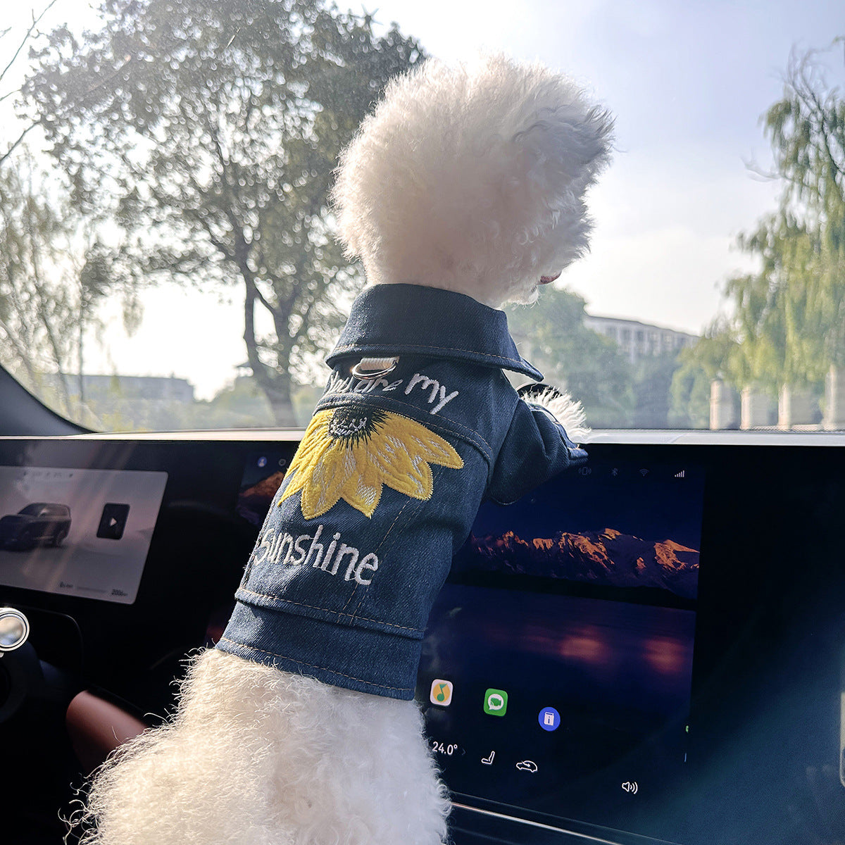 Sunny Denim Two-leg Dog Clothes