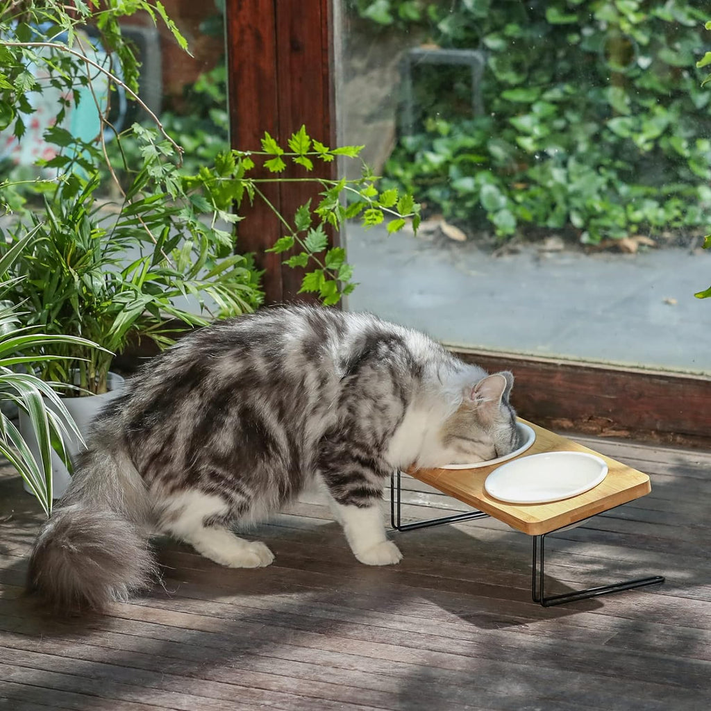 Small Dog Water And Food Feeder - Tilted Ceramic Bowl Set With Bamboo Stand