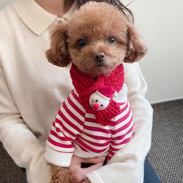 Fashion Simple Christmas Dog Clothes Set