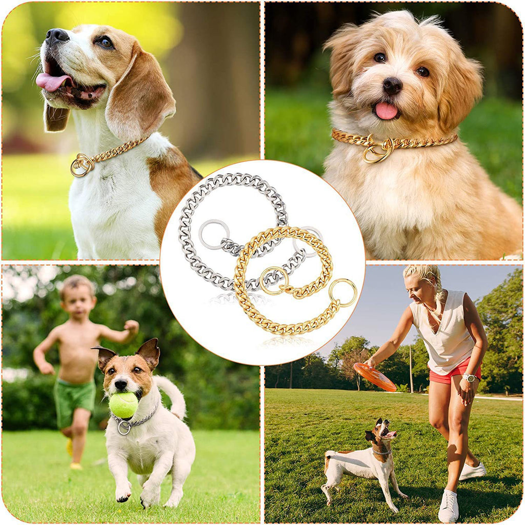 Pet Supplies Stainless Steel Drag Chain Double Ring
