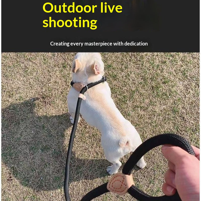 Dog Leash Anti-pull P-chain Walking Leash