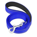 Fashionable Outdoor Nylon Pet Leash