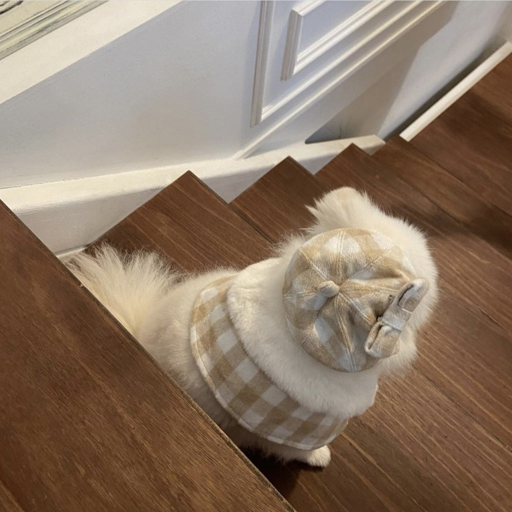 Korean Plaid Pet Cape Scarf And Hat Set