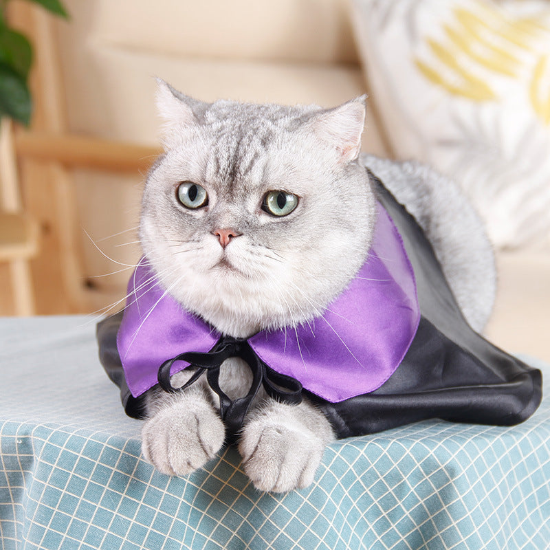 Dog Hat Dress Up Cool Cat Hat Black Purple Star Teddy Magic Wizard Hat