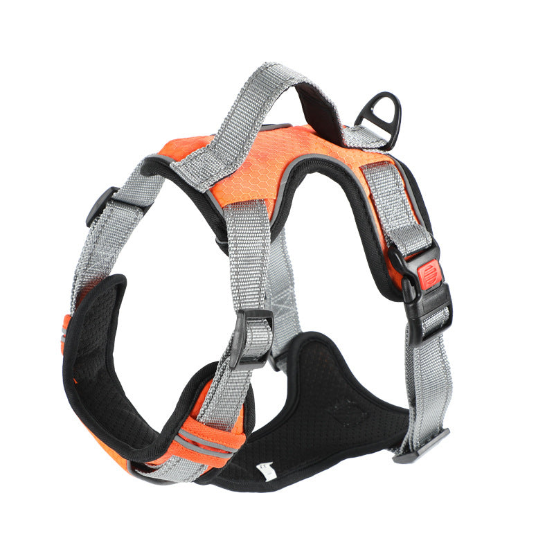 Dog Hand Holding Rope Vest Dog Chest Strap