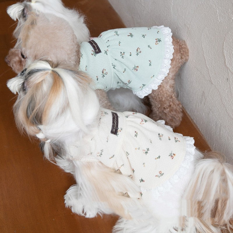 Autumn And Winter Embroidery Bear Vest Pet Clothes