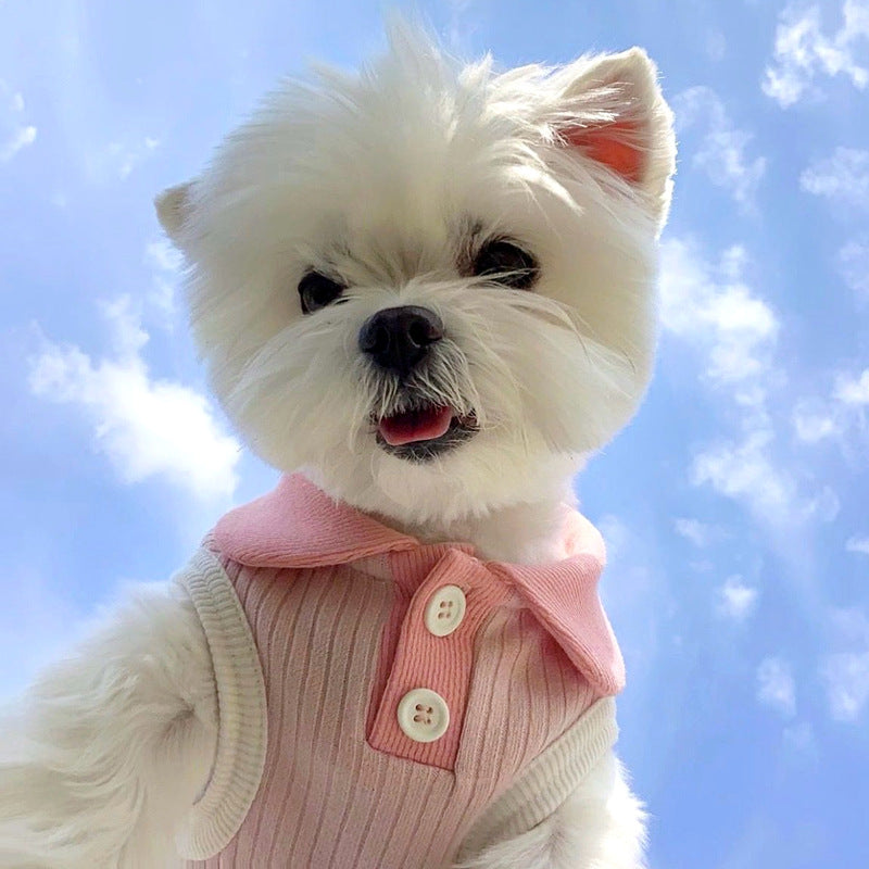 Cat Teddy Thin-Style Striped Summer Clothes