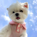 Cat Teddy Thin-Style Striped Summer Clothes