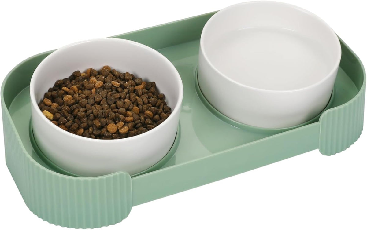 Ceramic Elevated Cat Bowls For Indoor Cats 15 Tilted Stand Anti Vomiting Raised Cat Food And Water Bowls Set Raised Cat Bowls With Non Slip Cat Bowl