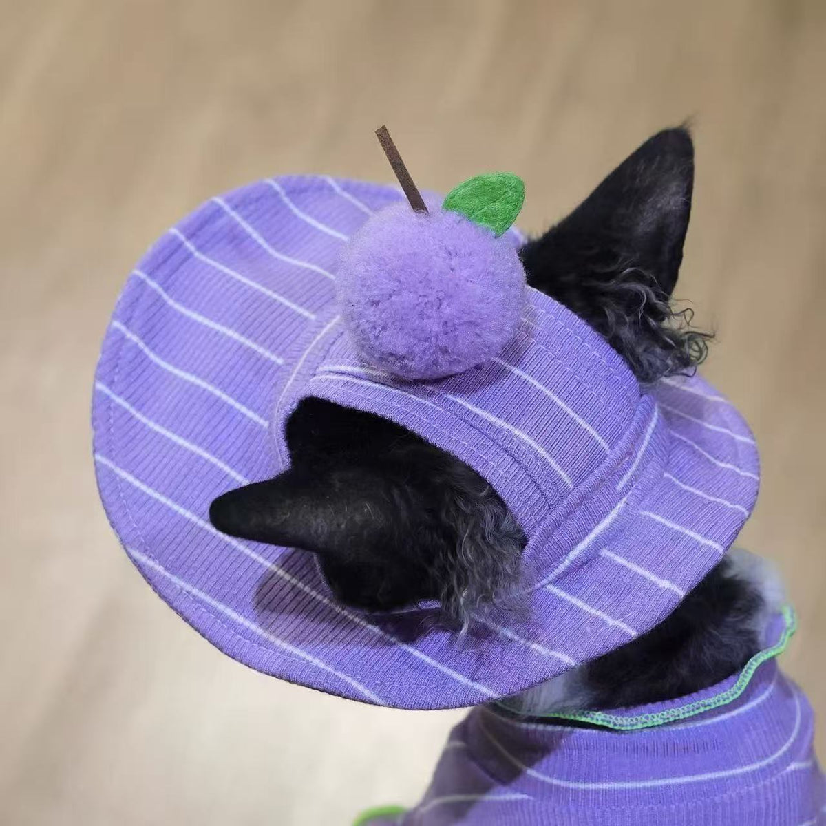 Cat Purple Striped Summer Outfit T-Shirt And Grape Sun Hat 2 Piece Set
