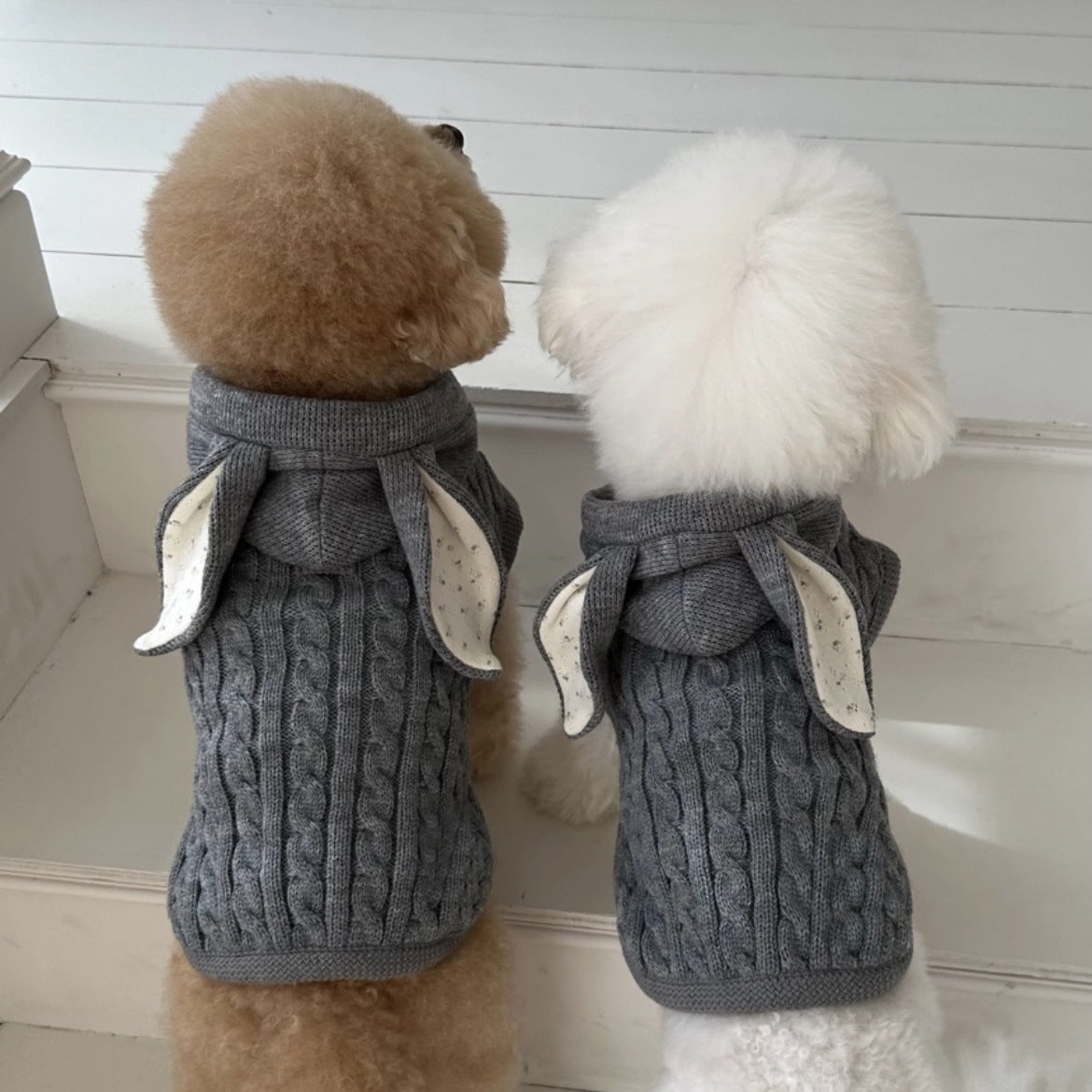 Simple Warm Pet Clothes Cape And Shawl