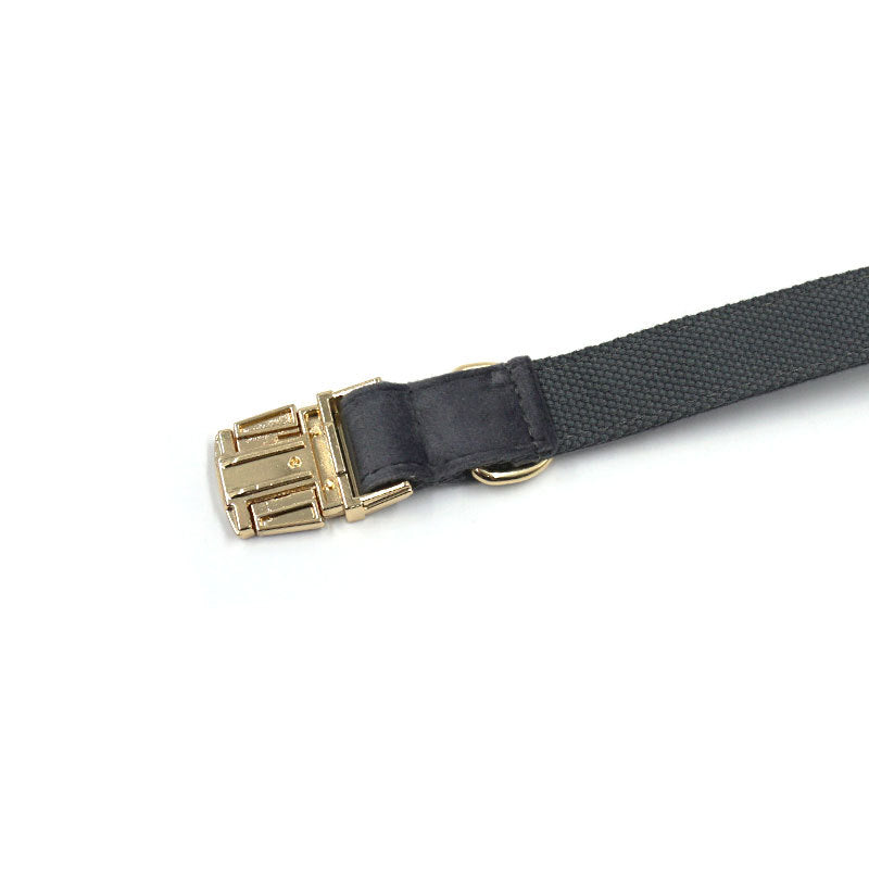 Dark Grey Velvet Pet Collar Lettering Metal Buckle