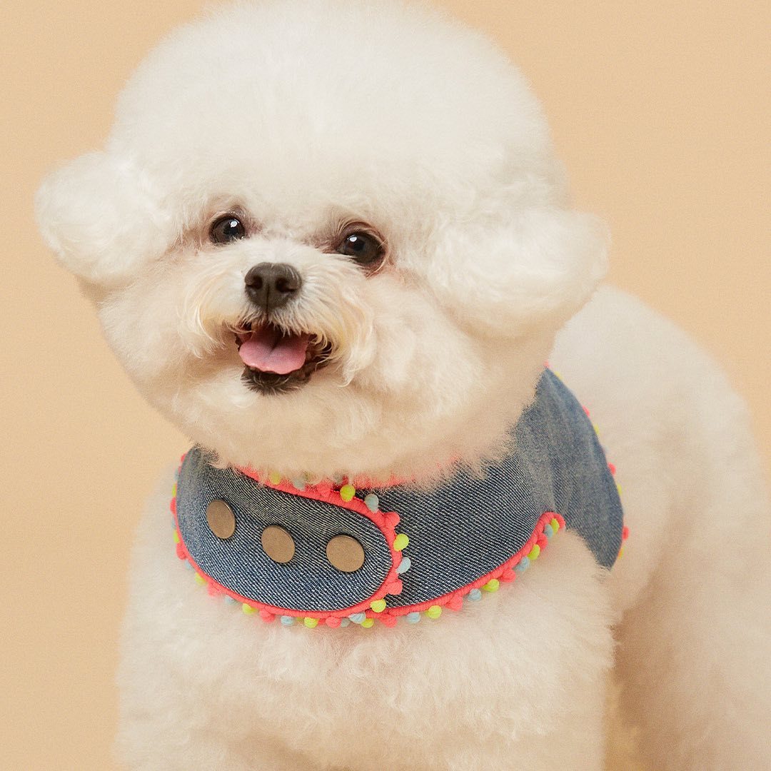 INS Style Korean Style Dark Denim Puppy Embroidery Breathable Four Seasons Chest Strap