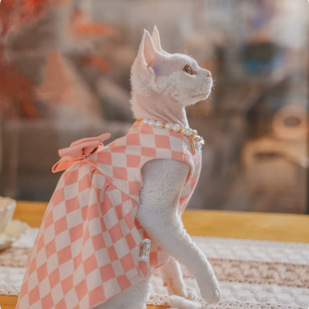 Hairless Cat Devon Cat Kitten Clothes British Style Dress