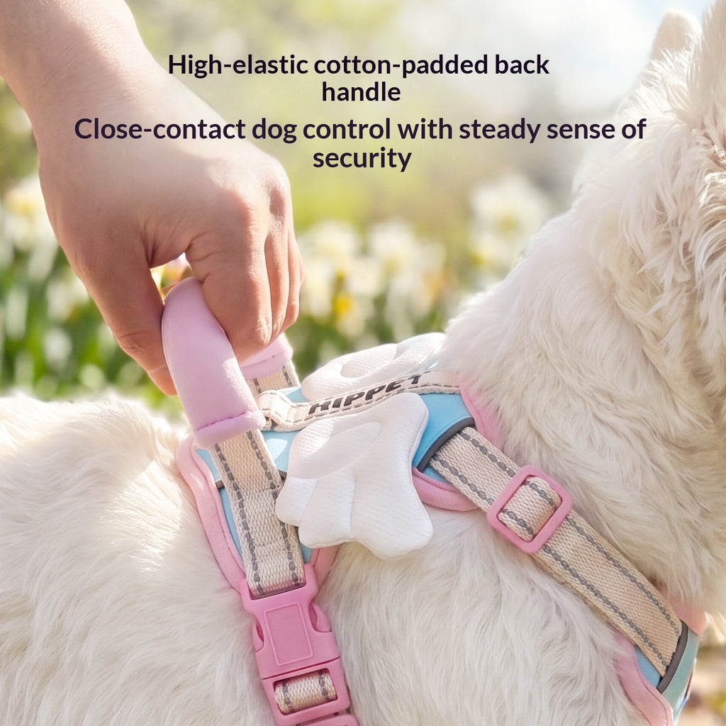 Angel Wings Dog Leash Outdoor Vest-Style Harness