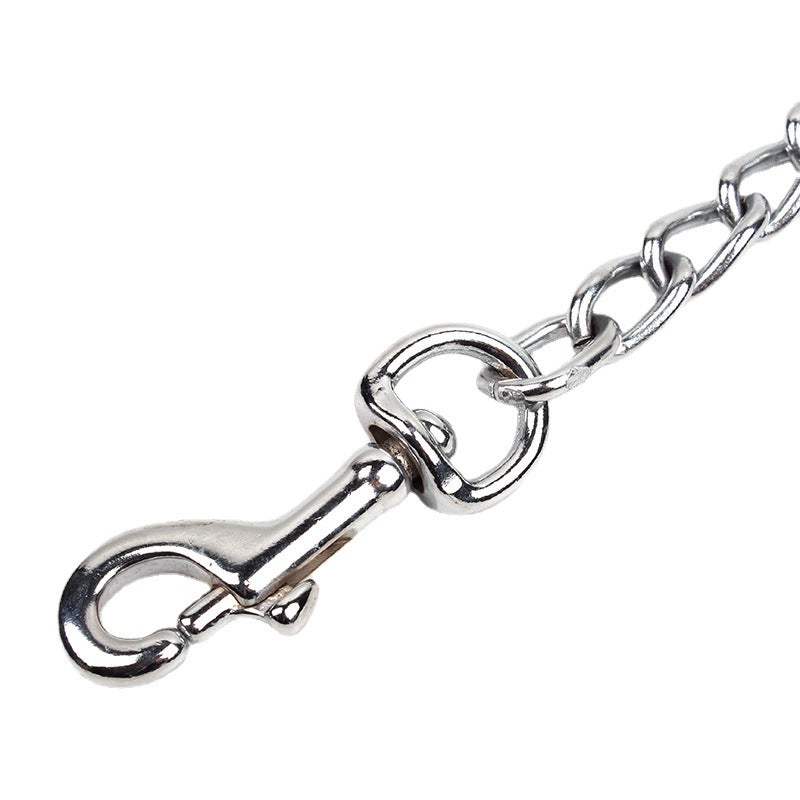 Fashion Nylon Chain Dog Hand Holding Rope