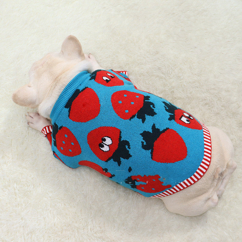 Canine Sweater Strawberry Cartoon Short Fat Dog