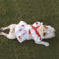 Lotus Leaf Lace Suspender Skirt Fadou Sherry Teddy Small And Medium Sized Dog, Cat And Dog Clothes Bago Strawberry Print