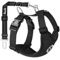 Pet Supplies Explosions Dog Leash Small Dog Vest Chest Strap Reflective Dog Rope Wholesale