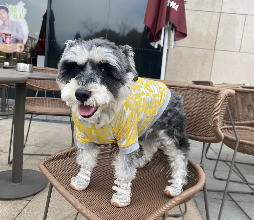 Dog Tide Brand T-shirt Letter Spring And Summer