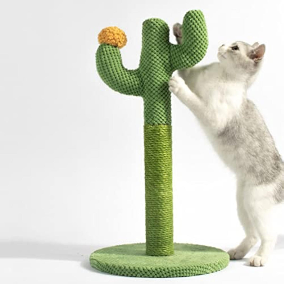 Cat Toy Scratching Board Cat Floor Scratching Nail Decorations Indoor Plants Accessories Cat Scratching Trees Plant Decorations Cats Claw Scratcher