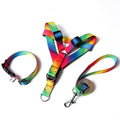 Creative Color Dog Leash Pet Vest