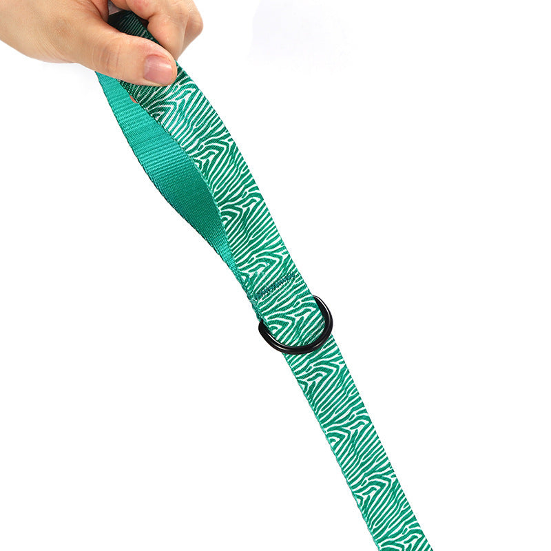 Fashionable Printed Nylon Dog Collar And Leas