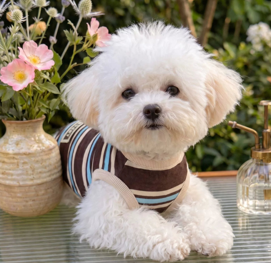 Dog Striped Vest Traction Summer Teddy