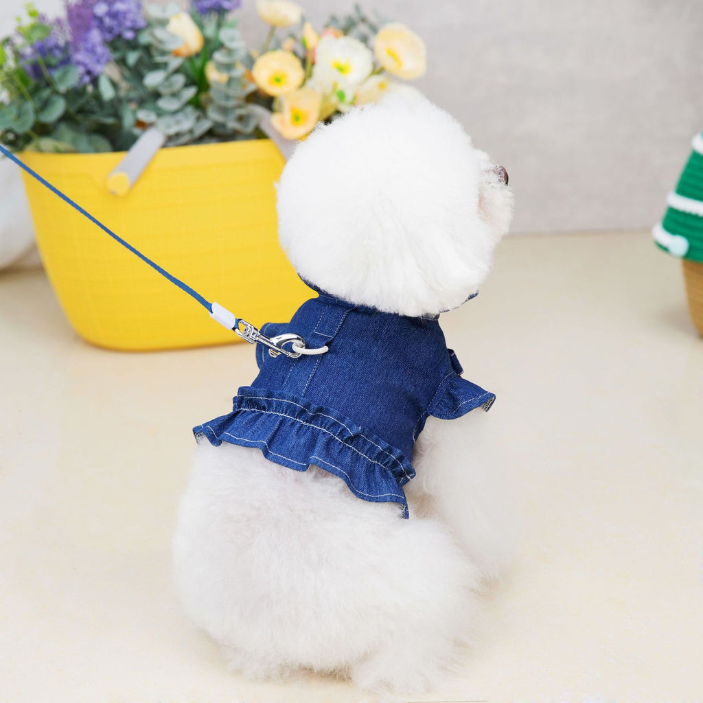 Clothes Summer Dog Not With Rope