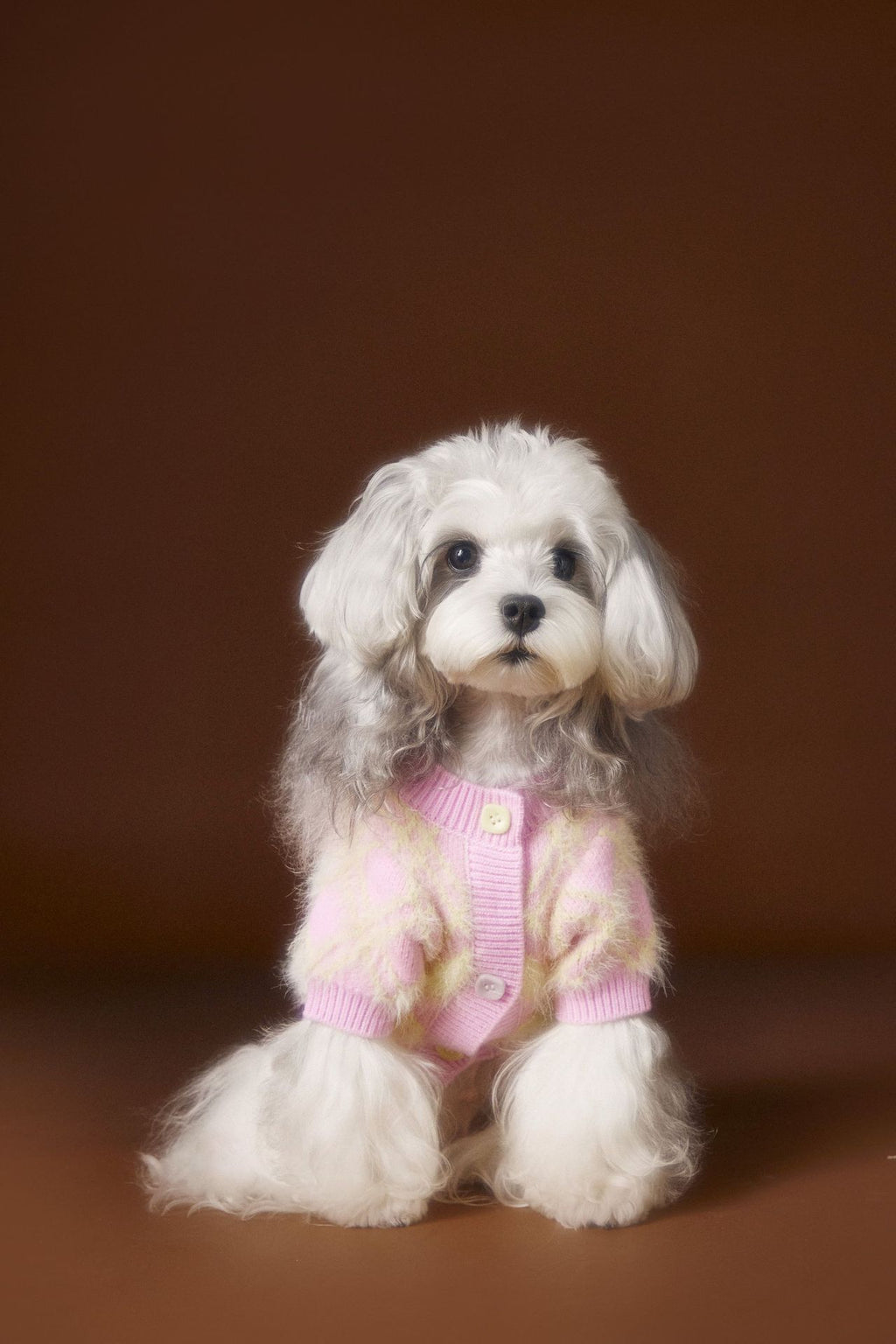 Schnauzer Teddy Bichon Cute Cardigan Sweater