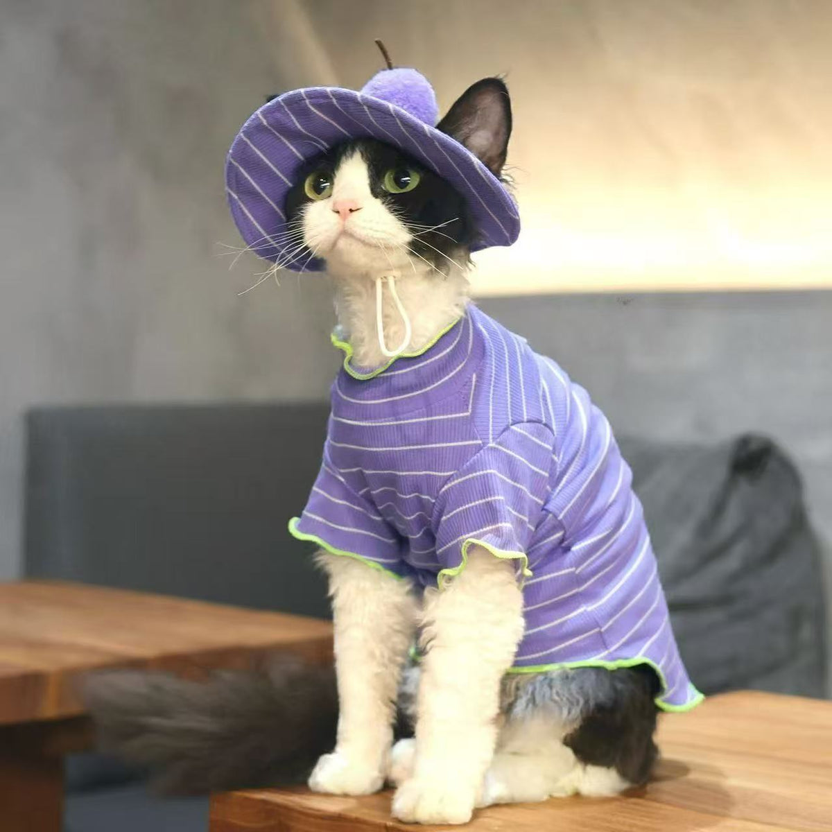 Cat Purple Striped Summer Outfit T-Shirt And Grape Sun Hat 2 Piece Set