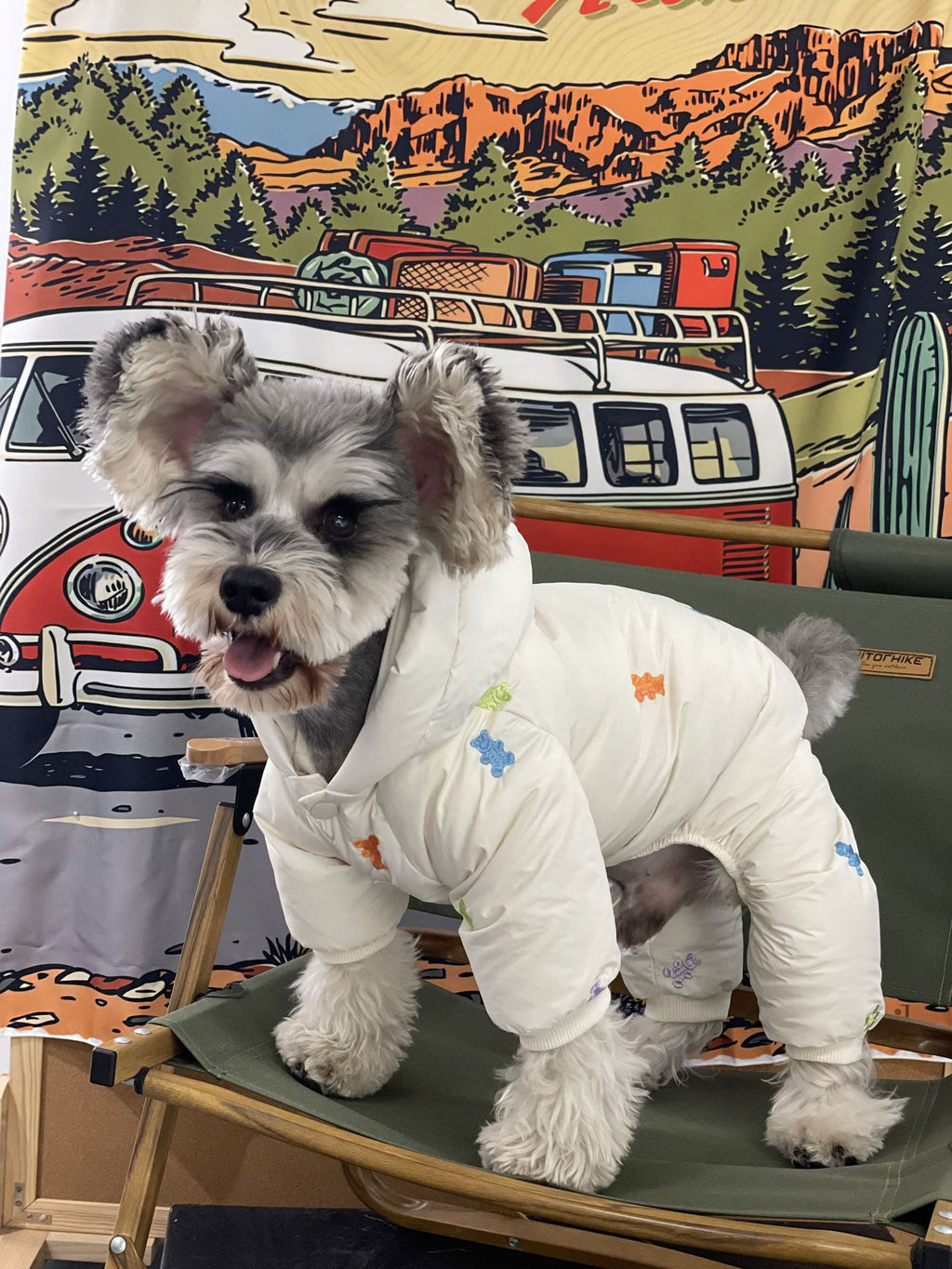 Dog Clothes Thickened Warm Teddy Schnauzer PomeranianBichon Frise Pug Hooded Pet Four Feet Down Jacket