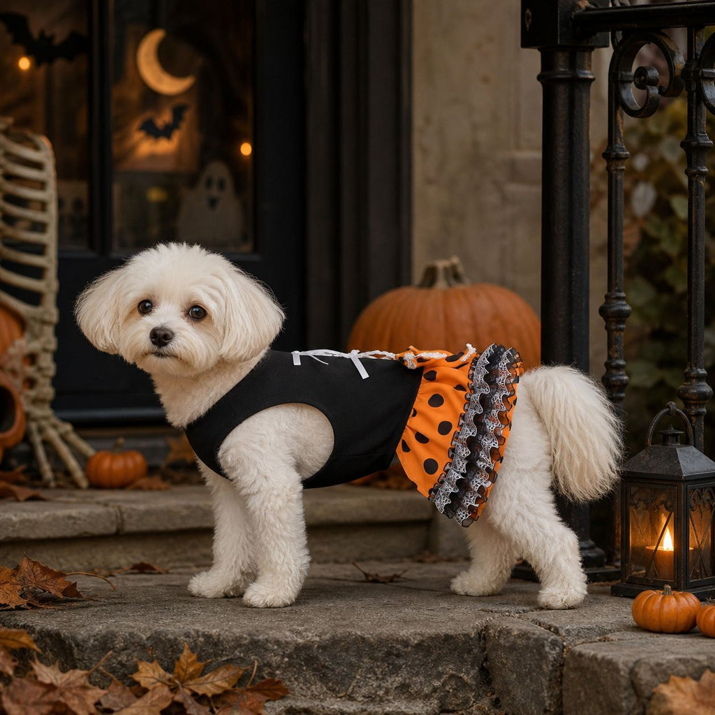 Halloween Dog Dress, Cute Pet Tutu Skirt With Orange Black Polka Dots Lace Bow, Puppy Party Costume For Small Medium Dogs, Bichon Maltese Teddy