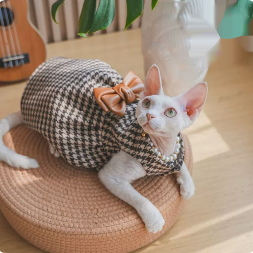 Hairless Cat Devon Cat Kitten Clothes Dress