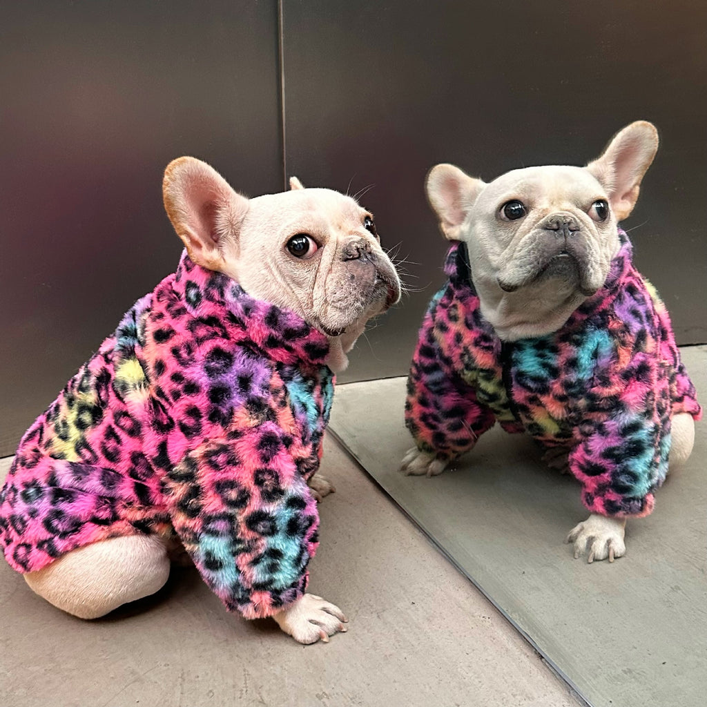 Pet Clothes Colorful Leopard Print Velvet Coat