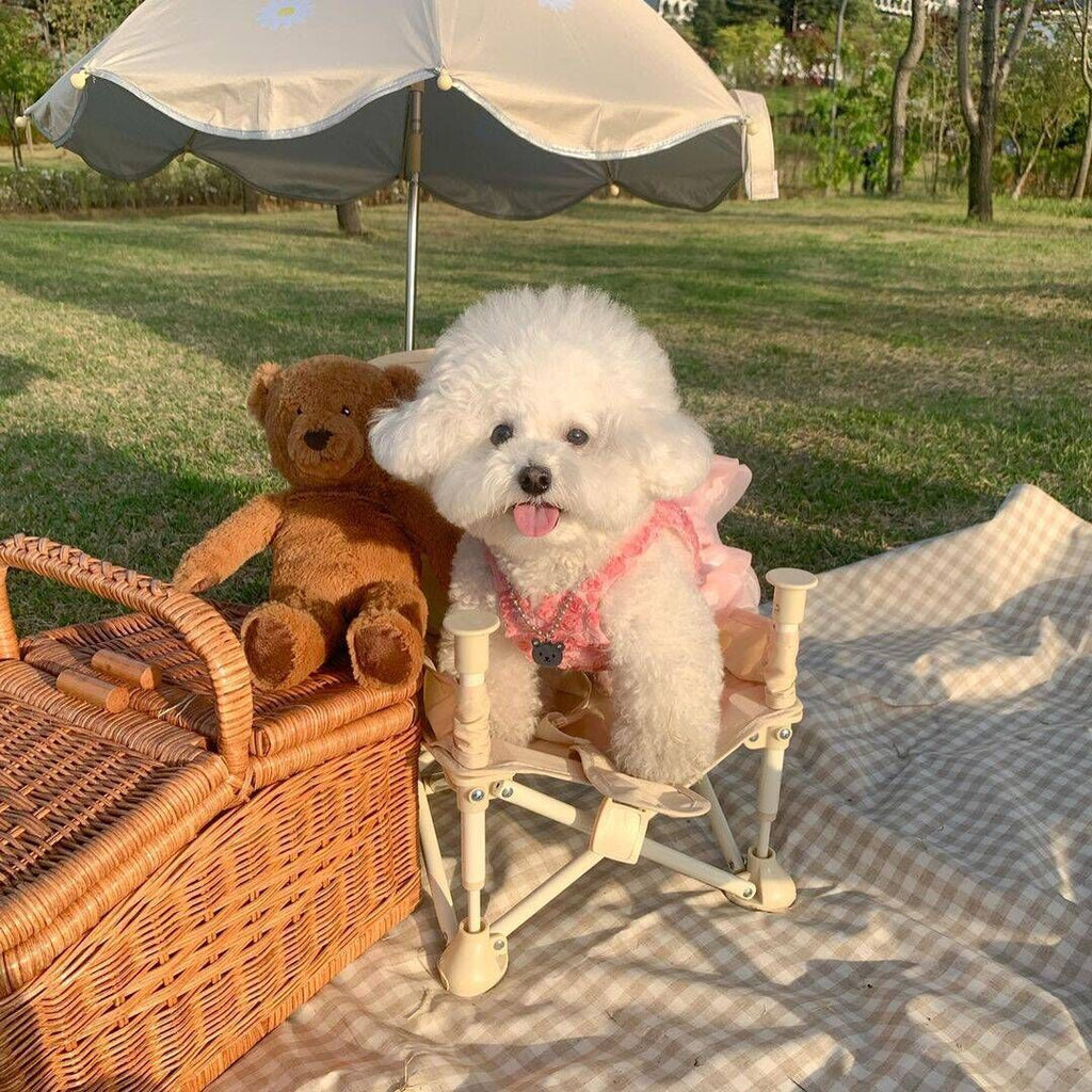 Spring And Summer Fashion Pet Dress