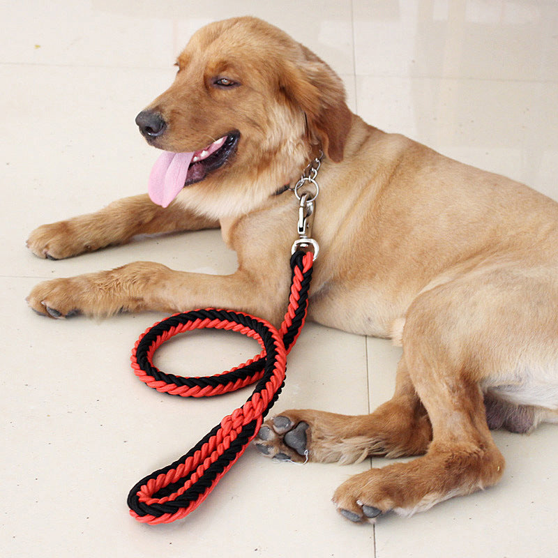 Eight-strand Nylon Leash Suitable For Medium- To Large-sized Dogs
